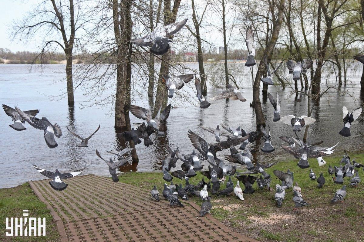 Moje photo