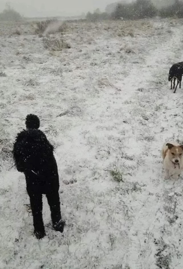 αίνιγμα