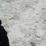 Ένα παζλ για όσους έχουν εξαιρετική όραση: πρέπει να βρείτε