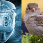 Μόνο άνθρωποι με φανταστικό IQ θα βρουν ένα σπουργίτι σε